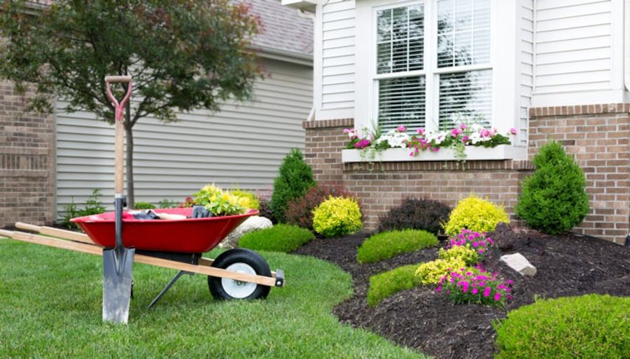 Landscaping to Prevent Basement Flooding: Tips and Tricks